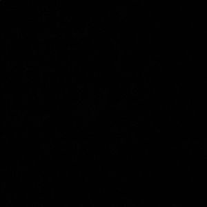 Meet your Posher, Jada